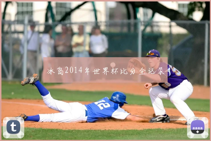 冰岛2014年世界杯比分全记录
