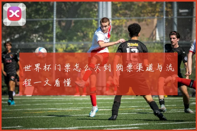 世界杯门票怎么买到 购票渠道与流程一文看懂
