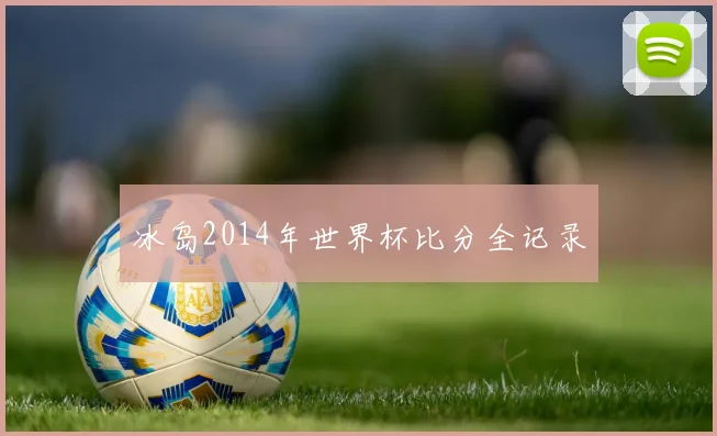 冰岛2014年世界杯比分全记录