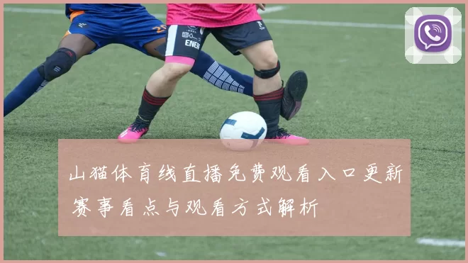 山猫体育线直播免费观看入口更新 赛事看点与观看方式解析